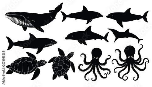 Photography vector illustration of a fish