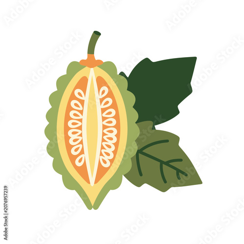 Cacao Pod with Leaves Flat Vector Illustration