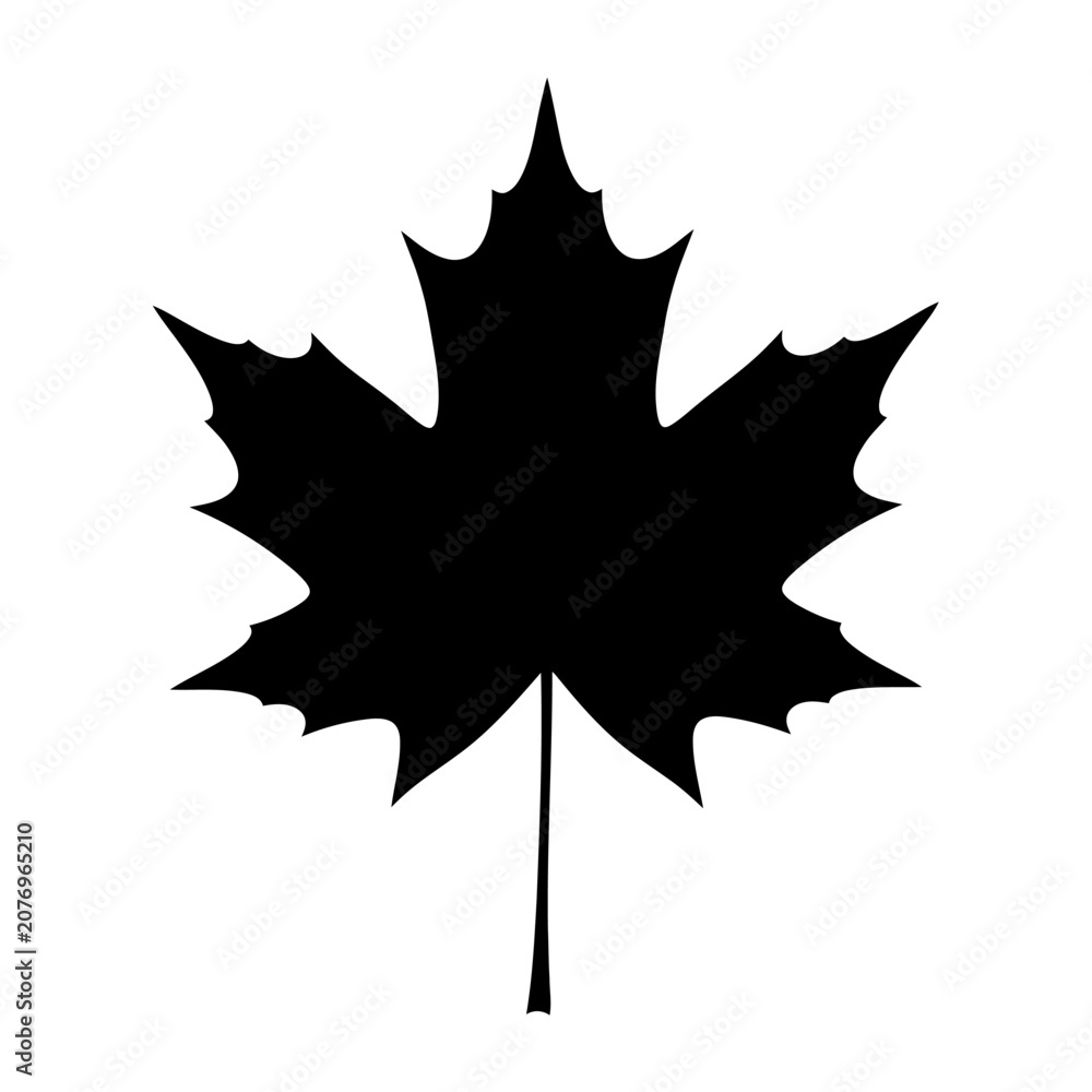 Fototapeta premium Abstract white background with subtle texture