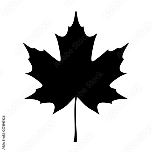 White background with subtle texture and shadow