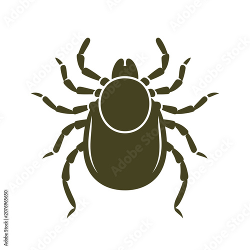 White background with subtle texture and shadow