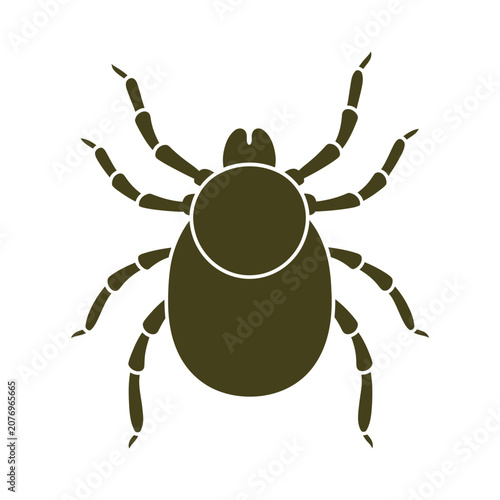 White background with subtle texture and shadow