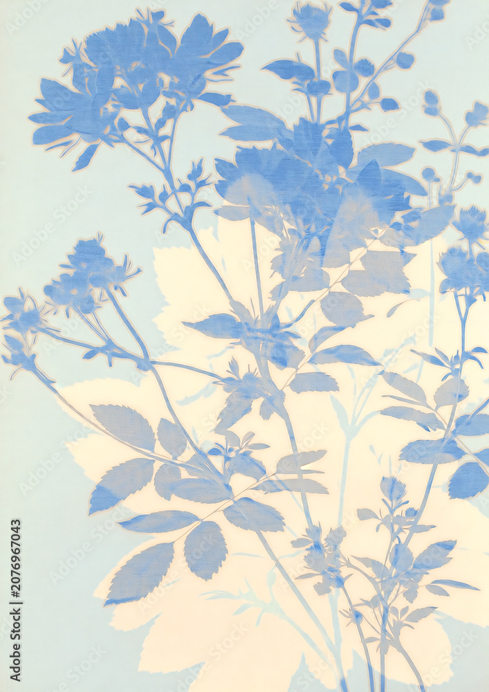 Fototapeta premium blue plants and flower