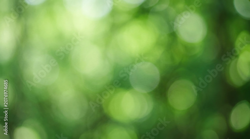 Abstract green nature background with soft bokeh and copy space.