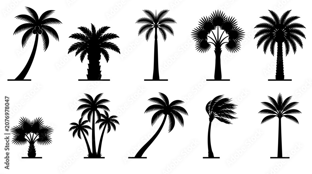 Fototapeta premium Set of ten black silhouette palm trees of different shapes and species.
