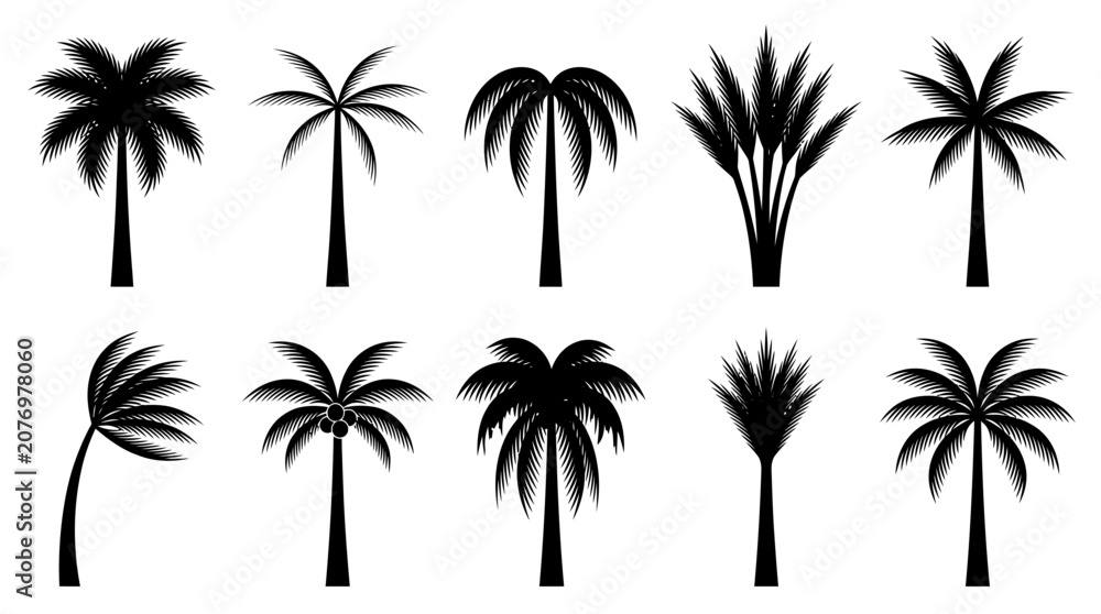 Fototapeta premium Set of ten black silhouettes of tropical palm trees.