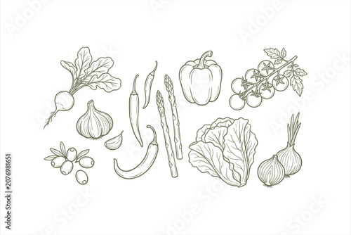 Hand drawn organic vegetable illustration set