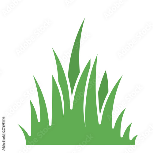 Flat vector illustration of green grass blades