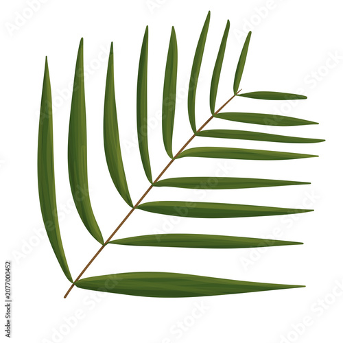 Fresh green foliage, symbol of nature, ecology, and environmental sustainabilty