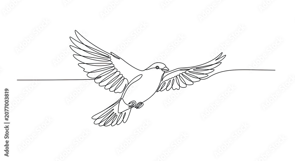 Obraz premium Minimalist line drawing of a soaring dove bird on a white background