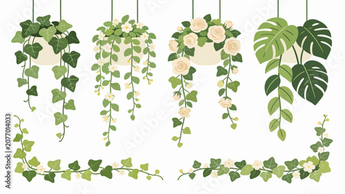 Hanging Houseplants Vector Collection with Trailing Green Leaves