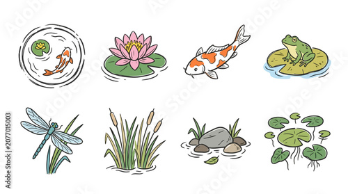 Aquatic life and pond elements hand drawn collection