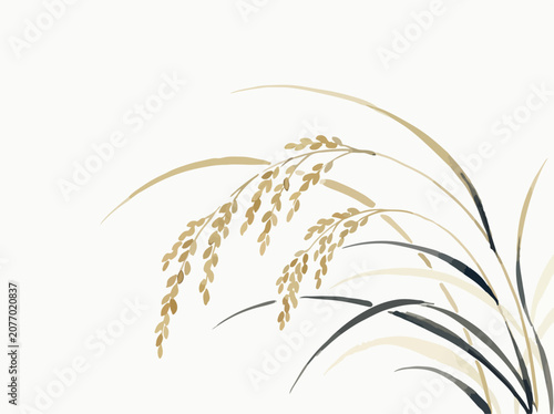 Delicate stalks of golden rice ears sway gently against a clean, minimalist white background in soft natural light