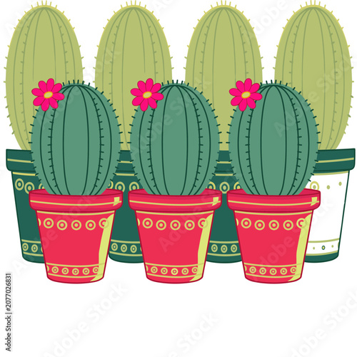 Flat illustration of cacti in decorative pots with flowers