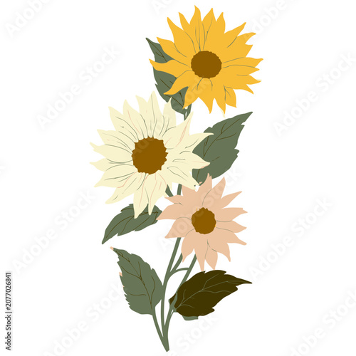 Flat illustration of three sunflowers with leaves