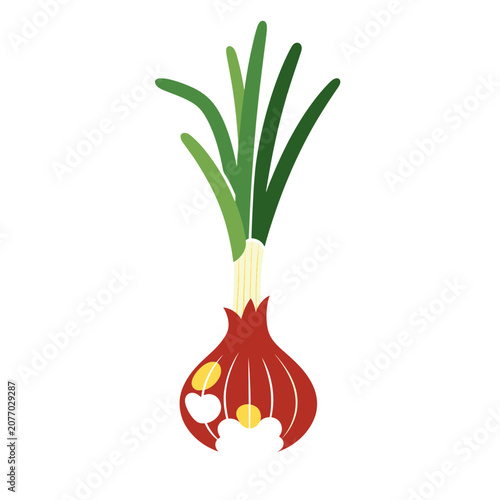 Red onion with green leaves flat vector illustration