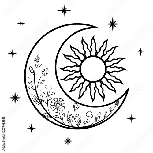 Crescent Moon and Sun Botanical Line Art Transparent PNG