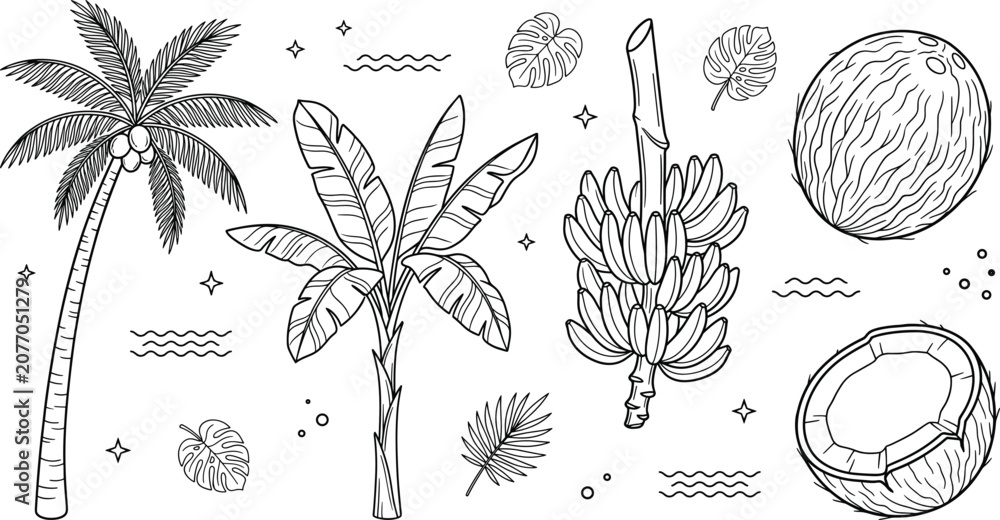 Fototapeta premium Tropical palm tree icon set with banana plants whole coconuts monstera leaves exotic fruits and linear outline elements