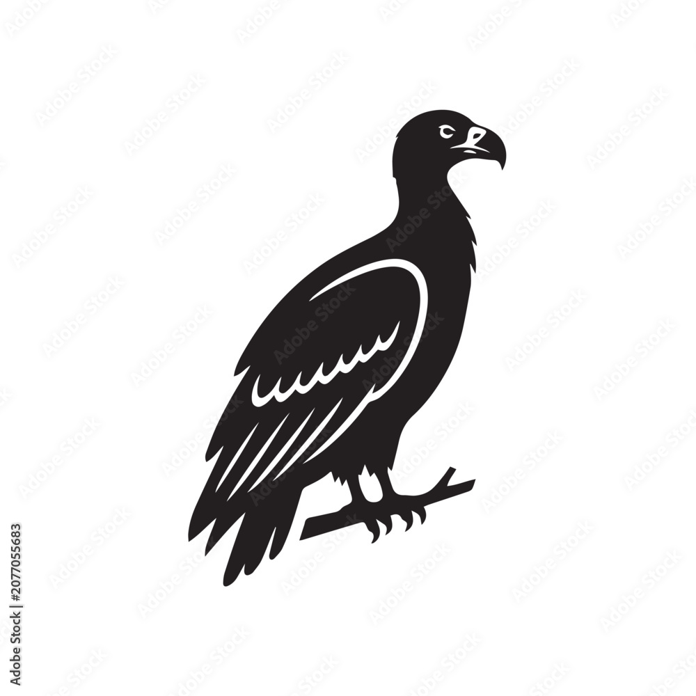 Fototapeta premium vulture silhouette isolated on white background