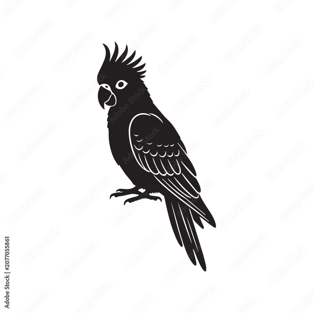 Fototapeta premium vector illustration of a parrot