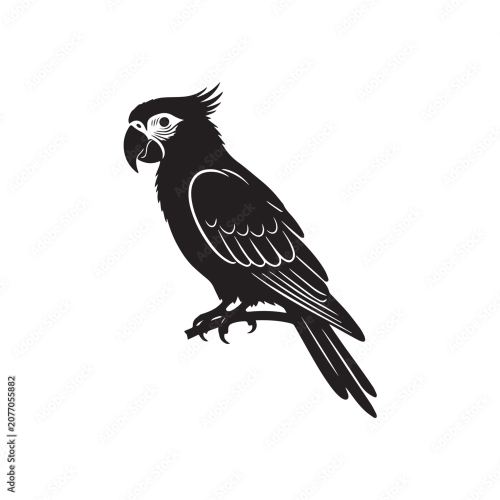 Fototapeta premium parrot on a white background