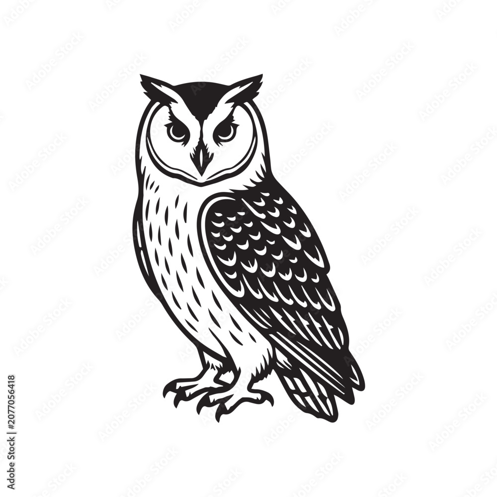 Obraz premium vector illustration of an owl