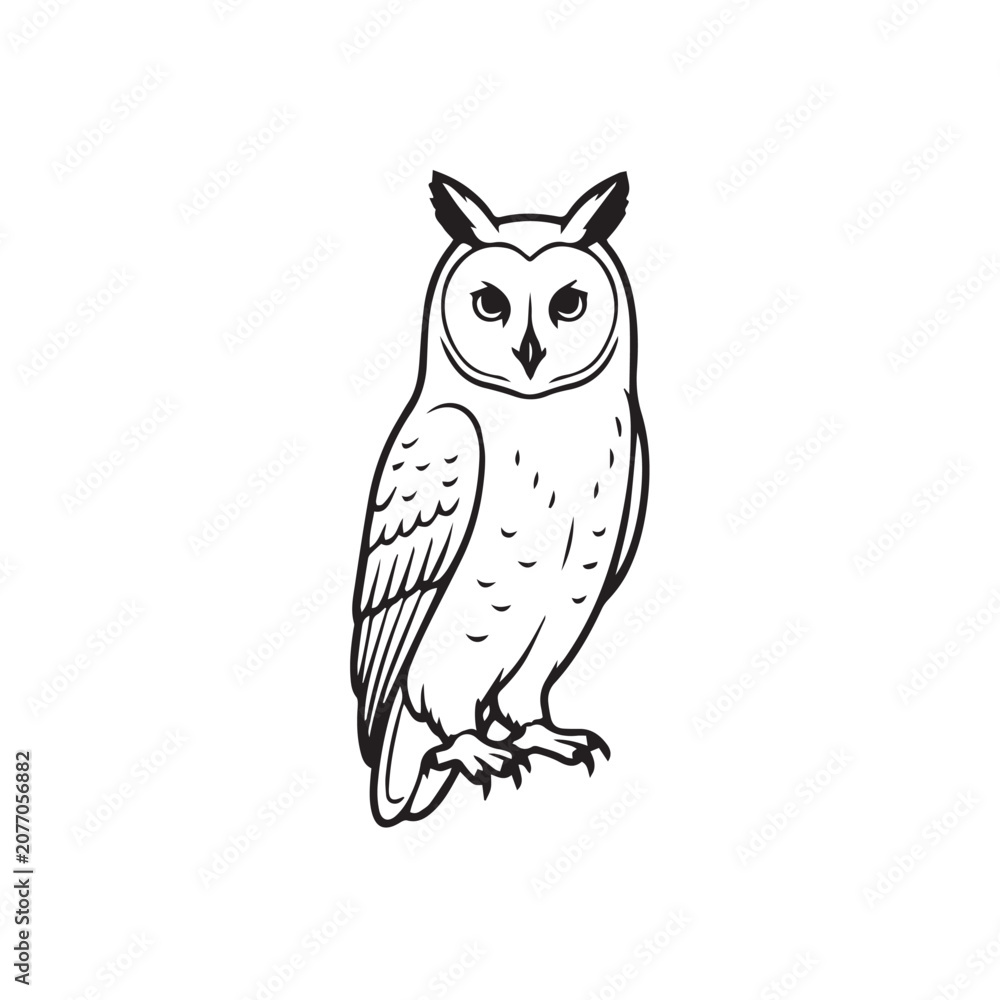 Obraz premium vector owl on white background