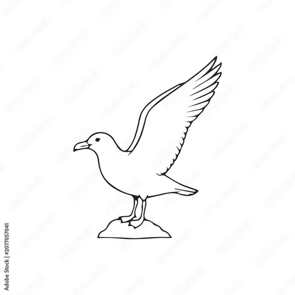 Fototapeta premium seabird vector illustration