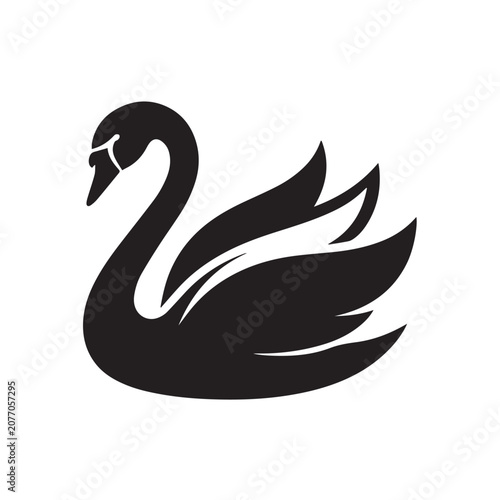 black swan vector silhouette