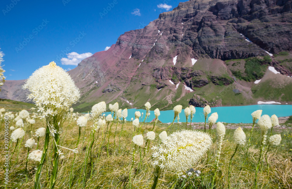 Obraz premium Mountains meadow