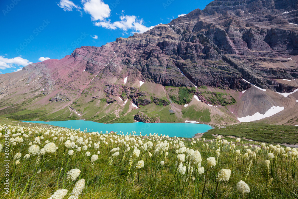 Obraz premium Mountains meadow