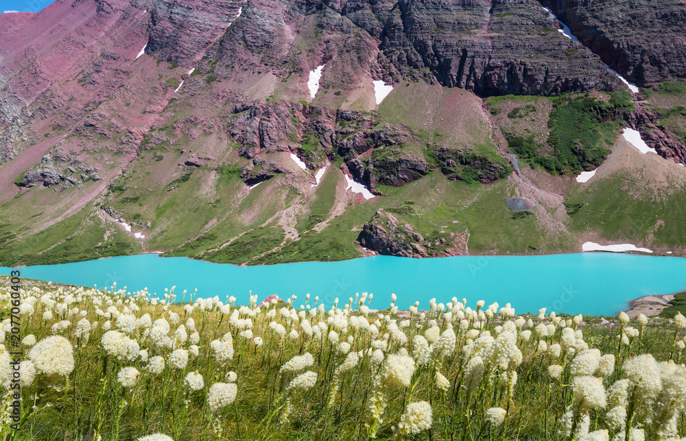 Obraz premium Mountains meadow