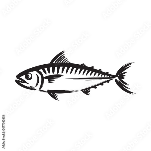 Fish Silhouette Illustration Black Ink Sketch On White Background