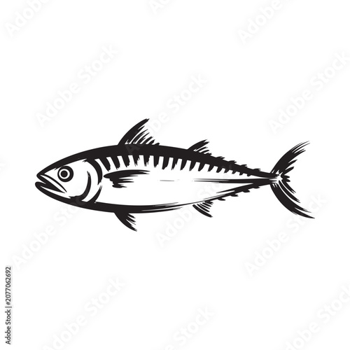 Tuna Fish Silhouette On A White Background Black And White Illustration