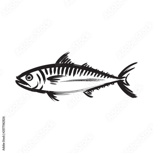 Fish Silhouette Illustration Black Ink Sketch On White Background