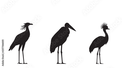 Secretary Bird Stork Crane Wading Bird Silhouette Icon Set