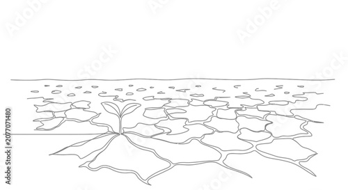 Foto Small seedling sprouting from cracked dry earth, symbolizing hope and resilience