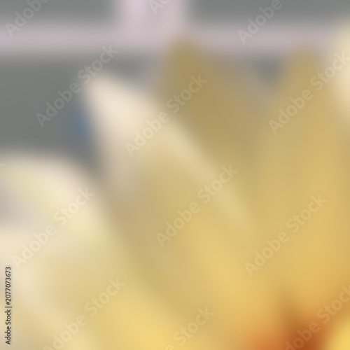 Abstract beige background from petal for love, luck, fortune, enthusiasm, brave, passion, wedding, valentine