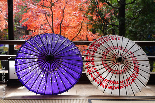 和傘が置かれた楓が紅葉した庭