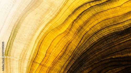 Close-up of Natural Grain Pattern with Warm Yellow and Brown Tones