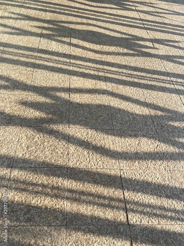 Abstract long shadows cast on stone tile pavement during golden hour