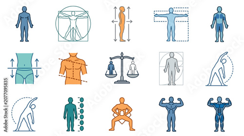 Εκτύπωση καμβά Minimalist Illustrations of Human Anatomy Posture and Physique Analysis with Bal