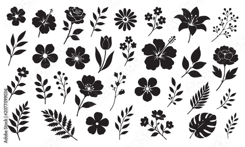 Black Silhouette Leaves and Black and White Floral Elements Set with Vintage Botanical Flowers Vector Collection for Nature Design Pattern Decoration and Tattoo Illustration