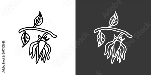 Ylang-Ylang Black And White Icon Set Collection Pack Vector Illustration