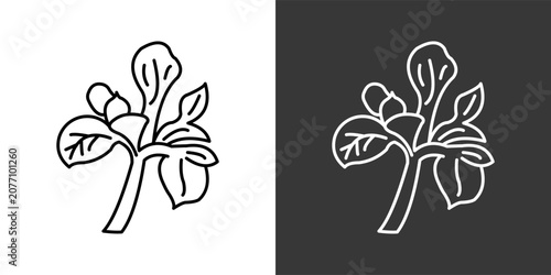 Φωτογραφία Iris Flower Black And White Icon Set Collection Pack Vector Illustration