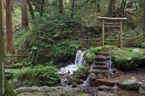 Foto 苔むした森と水音響く瓜割の滝