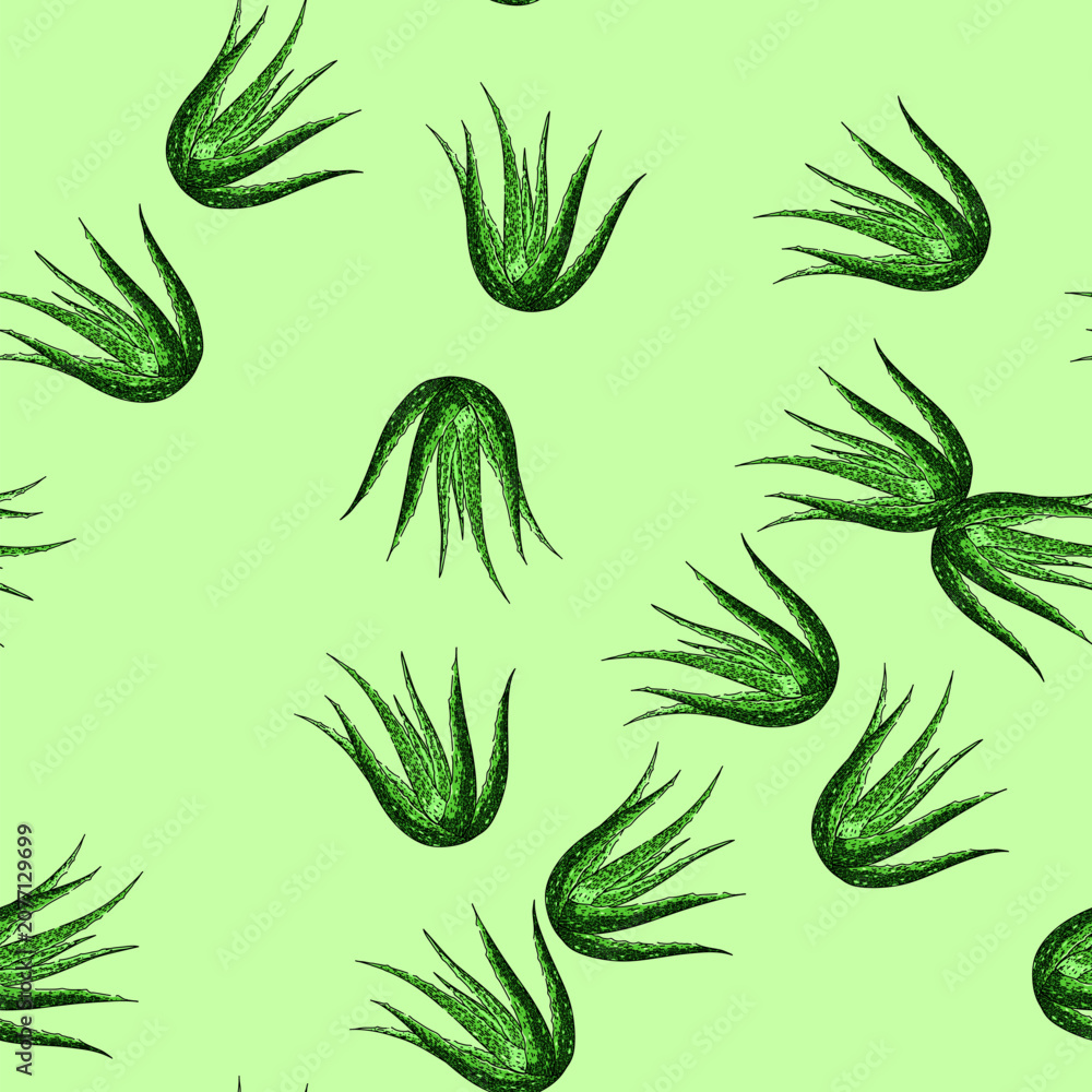 Fototapeta premium pattern aloe vera plant hand drawn. leaf fresh, gel cosmetic, water green, care cactus, drop herbal aloe vera plant vector sketch illustration