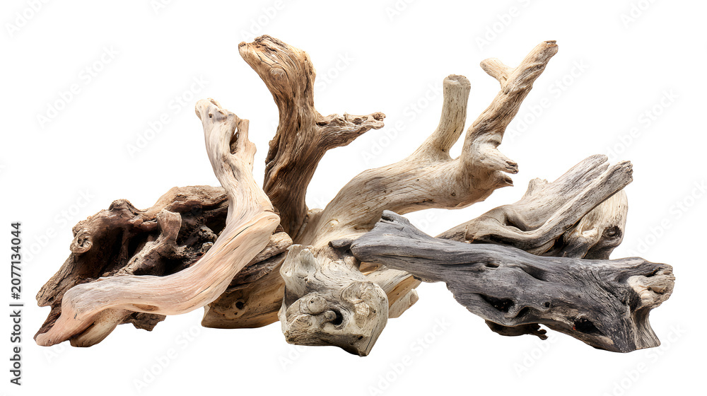 Fototapeta premium Driftwood pieces arranged in a natural weathered wood sculpture