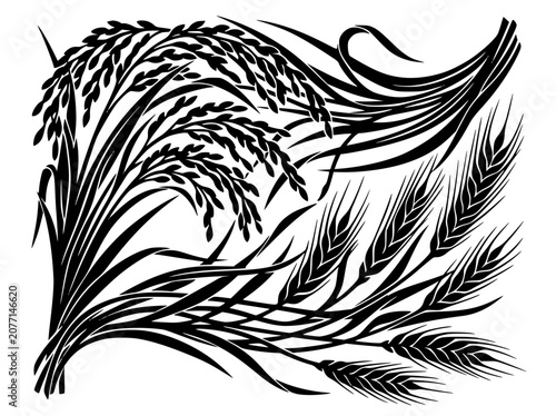 Stylized black and white silhouette illustration of rice and wheat grain stalks