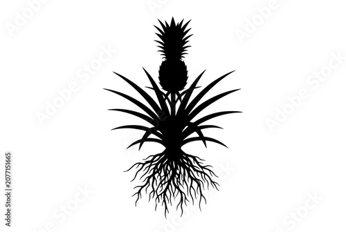 Silhouette of a pineapple plant with fruit leaves and root system